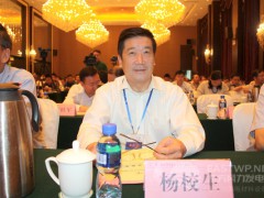 中國農(nóng)機工業(yè)協(xié)會風能設備分會楊校生理事長、