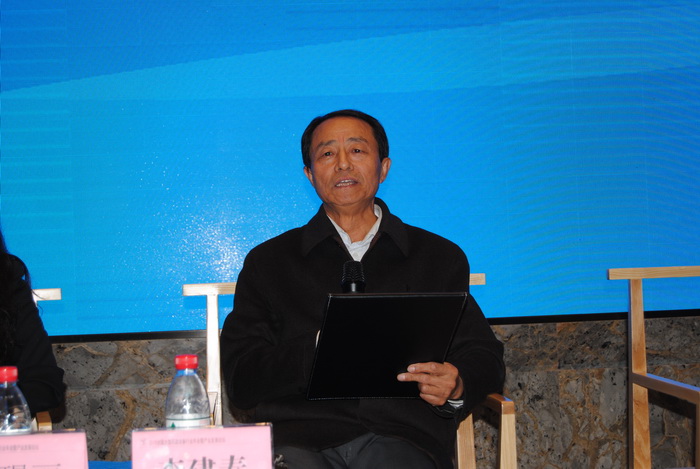 內蒙古電力行業協會風力發電專委會李建春秘書長