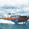 725-H53-81 環氧云鐵